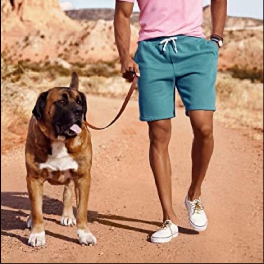 American Apparel French Terry Shorts Teal XS